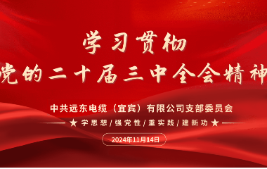 守正創(chuàng)新 踔厲奮發(fā)｜遠東電纜（宜賓）開展學習貫徹黨的二十屆三中全會精神主題黨日活動
